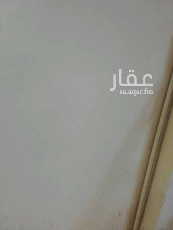 1267808 المحل على الشارع العام تجاري المحل مجهز ديكورات المواجهة زجاج من المزايا التي كانت في السابق الواجه من الزجاج سكرتير