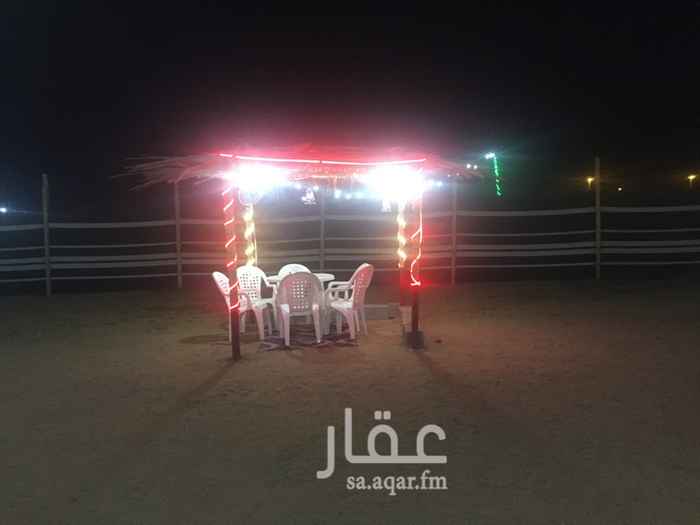 1336120 للايجار مخيم قسمين
ع طريق عسفان
يتكون من
خيمه رجال كبيره
8*5 تتسع 70 شخص
تلفزيون كبير
ملعب طايره
حفره مندي
دوره مياه
كاسات وفناجيل
ادوات طبخ .....مجاناًً
صحون قدور .مجاناً
غاز ........مجانًاً
قدر طبخ كبير
مجاناً..........
وقسم النساء
يتكون من
العاب اطفال نطيطه
مرجيحه
جلسه كبيره
خيمه نساء
دوره مياه
جزه شوايه
طاوله وكراسي
تلفزيون .....
للتواصل ...
0503645045
وسط الاسبوع اسعار خاصه للشباب القسم الواحد ب350 ريال
