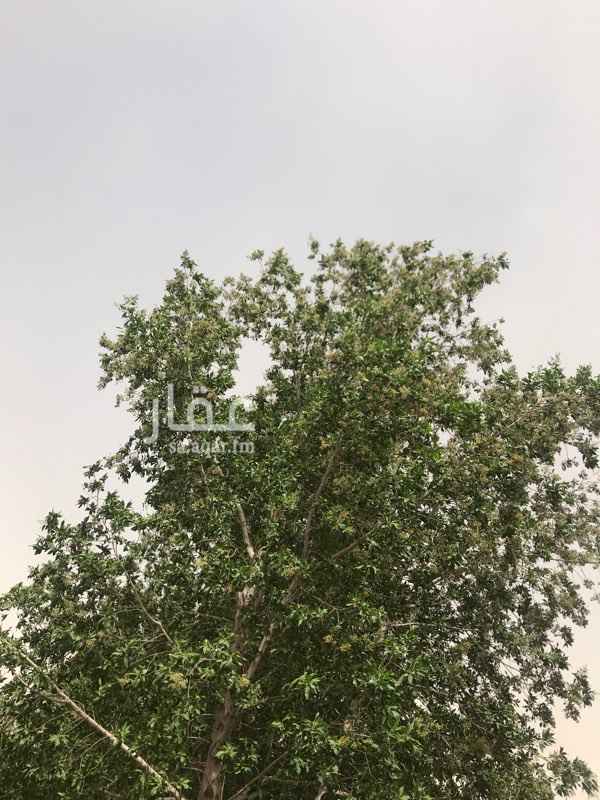 1607271 سور مسلح مسبح. إرتواز مبني ٤غرف. وصاله كبيره ٣دورات مياه مطبخ كبير مجهز بلكامل ومستودعات وغرفتين للعامل وصك إكتروني. على ٣ شوارع