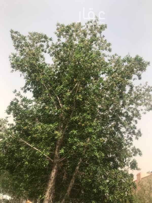 1607312 سور مسلح