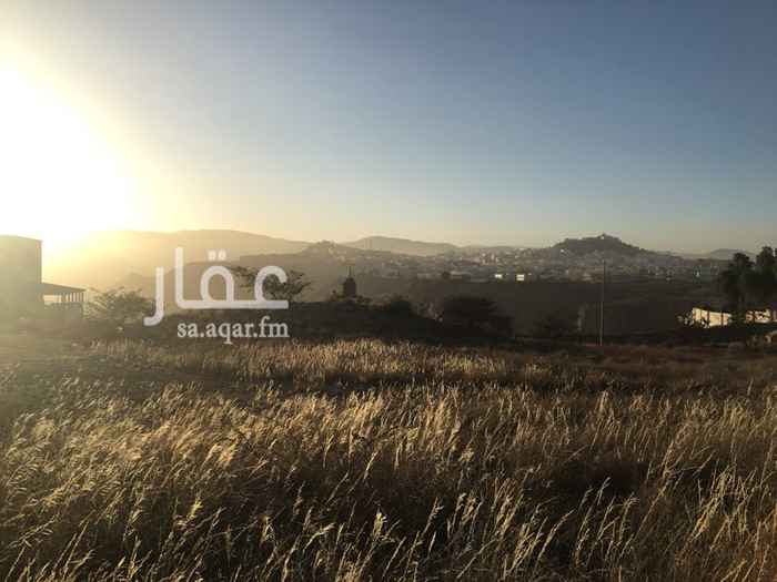 1373497 المساحه 1200م بجوار فندق شفا ابهاء استيجار طويل الامد مطلة ع تهامة