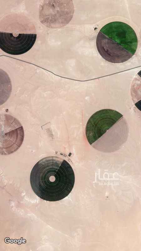 1669308 للتقبيل عدد ٨ ابراج كلها مزروعه رودس وعليها تصريح الماء فوار لاتحتاج قير ولا مواسير