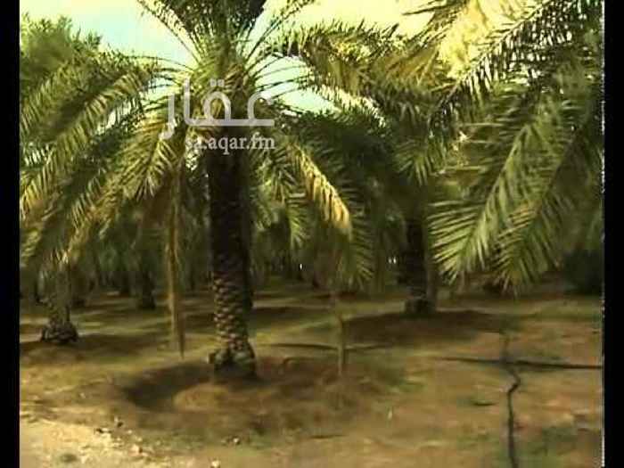 1269853 مزرعه تقع علي الدائري الرابع في مخططات المواصلات
وقريبه من مخطط الاسكان
وجهت الغرب يحدها ماصورة الماء
مساحة الأرض ١٨٣٠٠م
عدد النخل
العجو 220
الصفاوي 40
الروثان 70
الحليه15
برني العلا10
ويوجد نخل مشكل تقريب 30
يوجد خزان كبير
والابار ٢واحد مركب عليه ٢بوصه شغال علي طول ماشاء الله ولو بتركيب عليه ثلاثه بوصه عادي
والثاني يبيله تنظيف
وسكن عمال
وحظيرة غنم
المطلوب 4مليون 500الف
الدبوس المثبّت
بالقرب من المدينة المنورة
https://goo.gl/maps/qfcyajKGxBr