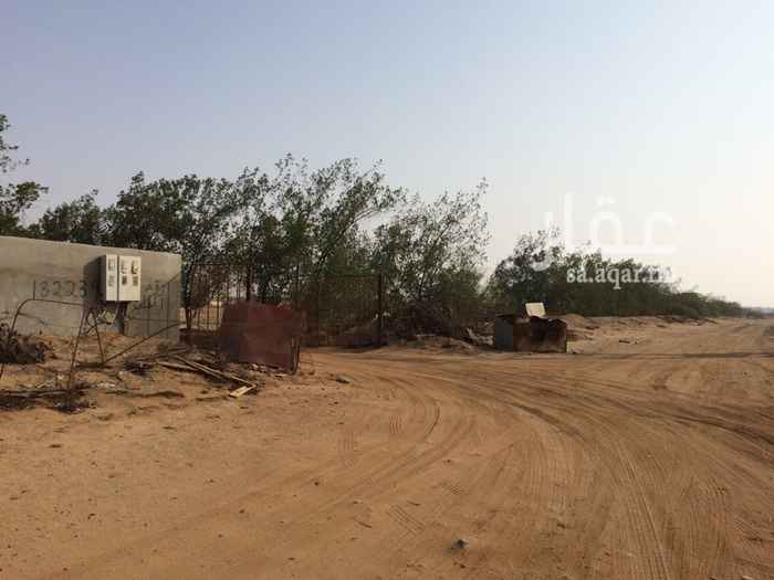 1179624 أرض زراعية مملوكة بصك زراعي إلكتروني وكروكي تنظيمي معتمد ومصدق من قبل أمانة محافظة جدة.
الأرض بها إستراحة كبيرة و ٣ عدادات كهرباء بالإضافة الى بئر عادي وبئر إرتوازي.
هناك الكثير من الأشجار وحوالي ٣٠٠ نخلة
الأرض للبيع كليا أو جزئيا