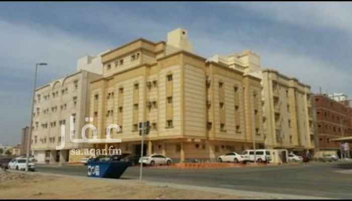 1297759 لايجار فله روف دور واحد خمس غرف مدخلين صالتين مطبخ 4 دورات مياه غرف شغاله ومخزن وسطح كبير 10*20متر تقريبا الموقع خلف السوق الجديد المروه فيه جميع الخدمات السعر 45000ريال تأمين
2000ريال مسترد العقد الكتروني تبع وزارة الإسكان