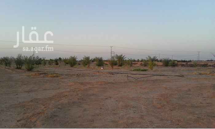 298340 مزرعة حديثة تقع جنوب الخرج في مركز المرفأ حي الثليماء مساحتها ٢٠٠ م في ٢٥٠ م٢ يوجد بها نخيل وبعض الأشجار المثمرة وسكن بيوت جاهزة وكهرباء وبئر بعمق ١٥٠ م وغطاس وصك شرعي ولا تبعد كثيرا عن المدينة الصناعية بالخرج