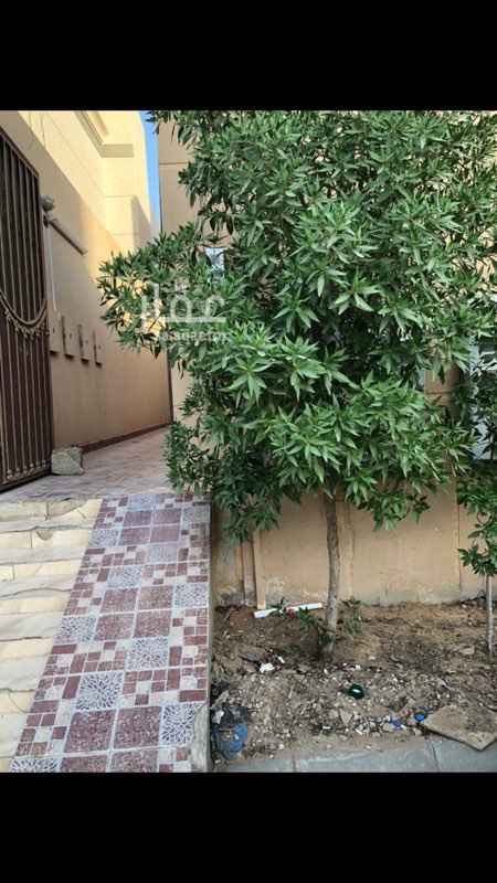 1694077 غرفتين فقط
1دوره مياه
ومطبخ صغير
2 مكيف سبلت
عدد الكهرباء مشترك