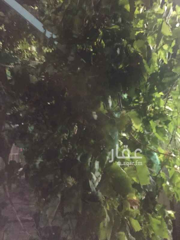 1192219 يوجد بالاستراحة اشجار فواكه مثمرة ونخيل مثمره عددها حوالي ١٥٠ شجره ونخله
المياه متوفرة وعذبه
التشطيب من النوع الممتاز وغرفة عامل مستقلة