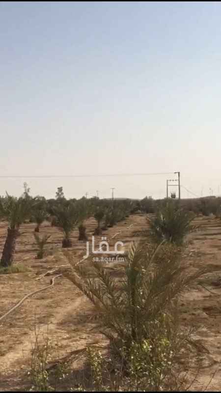 1280443 السلام عليكم : تفاصيل المزرعة
المساحة 50 الف متر مربع
عدد الآبار 5
عدد النخيل اكثر من 200 نخله
يوجد سكنين / يوجد شاليه مكون من خيمه ومسجد وحمامات
يوجد مطبخين /
يوجد أماكن خاصه للحيوانات حمام بقر ماعز دجاج ....
المزرعه كبيره وجميله
الموقع : ملهم _ الرياض
السومة كانت قبل كم سنه ب 5 مليون و 200
بعد نزول العقار * نبي فيها الان 3 مليون و 800 قابل للتفاوض للصامل