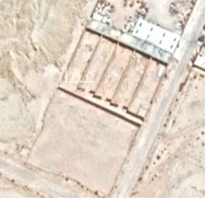 1731659 ارض مقسومة 5 استراحات تحت التشطيب وكل استراحة 540م فيها مجلس 8*6 ومطبخ ودورتين مياه ومغسلتين ومؤسس مدخل خاص ومواقف سيارات لكل استراحة ويوجد مقدمة وممكن الاستفاده منها ملعب طائرة ودكة وبيت شعر (خيمه) .
المطلوب استثمار وإيجار طويل المدى لمدة 10 سنوات وكل سنة ب170 الف