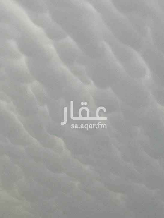 1300343 null