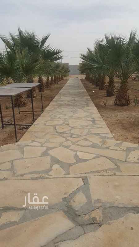 1665362 مساحة الاستراحه ١٠ الاف متر كل ٥ الاف في صك
يوجد عدادين كهرباء
يوجد قسمين رجال ونساء
خيمتين ملكيه لك قسم
يوجد ٨٠ نخله مثمره لسنه الرابعه والنخيل اغلبه اخلاص
يوجد شجر حمضيات ونبق
يوجد ارتواز
يوجد غرفه حارس مع دوراة مياه
يوجد تقريبا ١٥٠٠ شجرة واشنطنيا
يوجد عدد ٦ غرف بمساحة ٥*٥ حضاير للغنم
٦ غرف ٣*٢ خضاير للحمام
والاستراحه على السوم