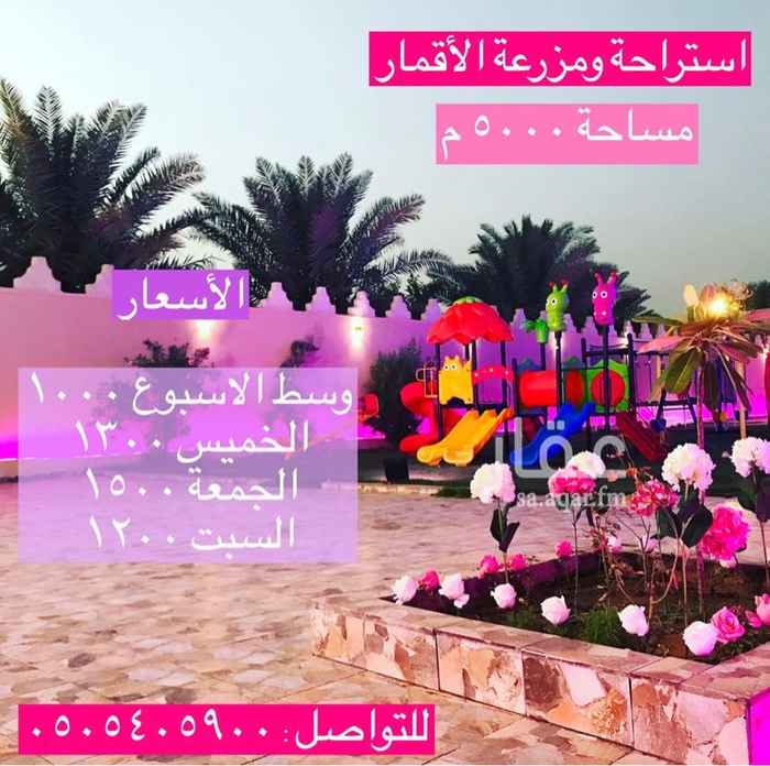 1567684 قسمين
القسم الاول (( رجال )) ويتكون من :-
مجلس كبير
مقلط كبير
خيمة جديدة كبيرة
ثلاث دورات مياة
جلسة خارجية فخمة مع رذاذ
مشب
مطبخ
ملعب
مسبح كبير
مسبح صغير
شواية
برميل مندي كبير
مسلخ ذبائح
القسم الثاني (( نسائي )) ويتكون من :-
ألعاب اطفال متعدده ومتنوعة
نطيطة
مقلط
جلسة خارجية مع رذاذ
مسطحات خضراء كبيرة
مجلس
مقلط
صاله
مطبخ
ثلاث دورات مياه
برميل مندي كهربائي
سماعة حفلات كبيرة