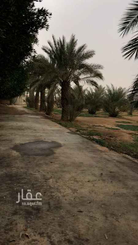 1399985 مزرعه صغيره على شارع ٢٥ شرقي ١٠٠*٧٥ ارتواز ٨٠ متر ماء متوفر عداد كهرب غرفه حارس مع مطبخ وحمام سور بلوك كامل عدد مدخلين سفلت من المدخل الى المخرج دائر على المزرعه خزان طول صبه
صك رسمي وعند الافراخ صك الكتروني