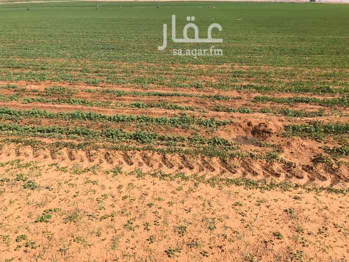 1270994 رشاش محوري 6 ابراج و يوجد معها رخصه زراعة الاعلاف والقمح
50 هكتار قايم وسليم ومزروع حالياً
مجمع ماء
رأس كهرب 400
مبني بي مرافقه
تبعد عن منطقة الرياض 110 كيلو مزفلته الا باب المزرعة
على أربع شوارع كل شارع 50 متر
جميع الخدمات موجوده و واصله الماء و الكهربائي تبعد عن محافظة ضرماء 40 كيلو
جانب من المزرعه نفود تصلح لي اهل الابل
استثمارية وممتازه وواضح الدخل لها