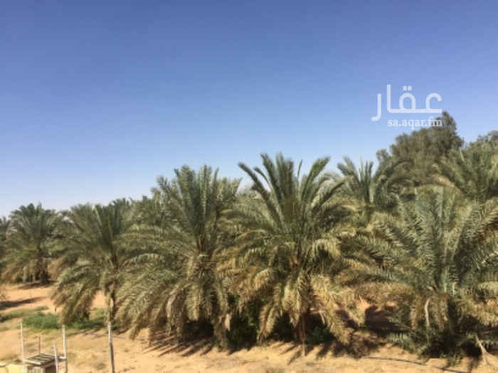 1650075 2 مليون متر بصك شرعي كهرباء على ثلاثة شوارع
أحدهم رئيسي تبعد عن تفتيش القديه 70 كم - على الطريق العام مخرج ٨٨٠أ بإتجاه الرين بيشة 9كم من مخرج البخراء على اليسار خصبة 5 ابار 8 بوصه
المبانى : سكن مسلح غرف عمال ومستودعات ورشة
الرشاشات : 2 ثمان ابراج
المكائن : 4 فولفو بقيراتها
المعدات : متكاملة
توانك ديزل حظائر متنوعه
النخيل : اكثر من 1750 نخله اغلبها (خلاص)
للمزيد من المعلومات 0505468367
http://goo.gl/maps/tPUEZ