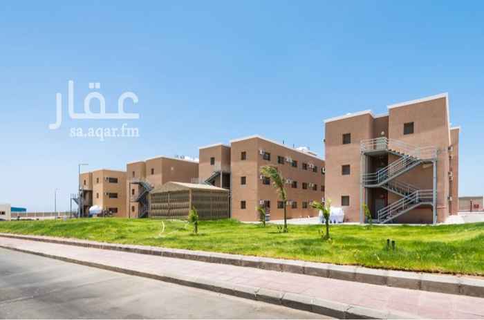 1647073 عمارة سكنية داخل كامب ( ضيافة جدة ) والذي يعتبر من أكثر مساكن العمال تطورًا في منطقة الخمرة من حيث الخدمات ( عيادة ، سوبرماركت ، مسجد ، ملاعب ، نادي رياضي ، صالة متعددة الاستخدامات ، قاعات طعام ، مواقف تتسع لأكثر من ٣٠٠ سيارة .. الخ )
أقل عدد من الغرف المسموح تأجيرها ١٤ ، والسعر ليس شامل للخدمات