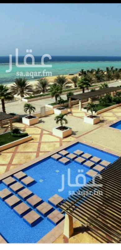 974687 المبنى البحري ١
الشقه مطله على البحر المفتوح واجهتين شماليه و غربيه