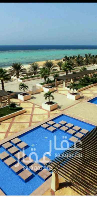 974627 شقه في البيلسان مدينه الملك عبدالله الاقتصاديه
المبنى البحري رقم ١
مطله على البحر والمسبح
نادي صحي
موقف بدروم
٣ غرف نوم
٣ حمامات
بلكونة وحديقه خلفيه
السعر قابل للتفاوض