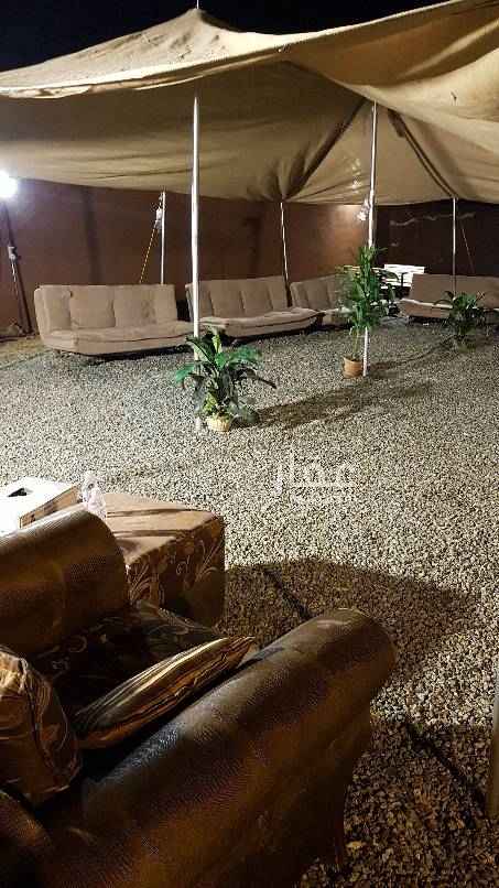 1664725 غرف مع سطح مع فناء...مع حارس