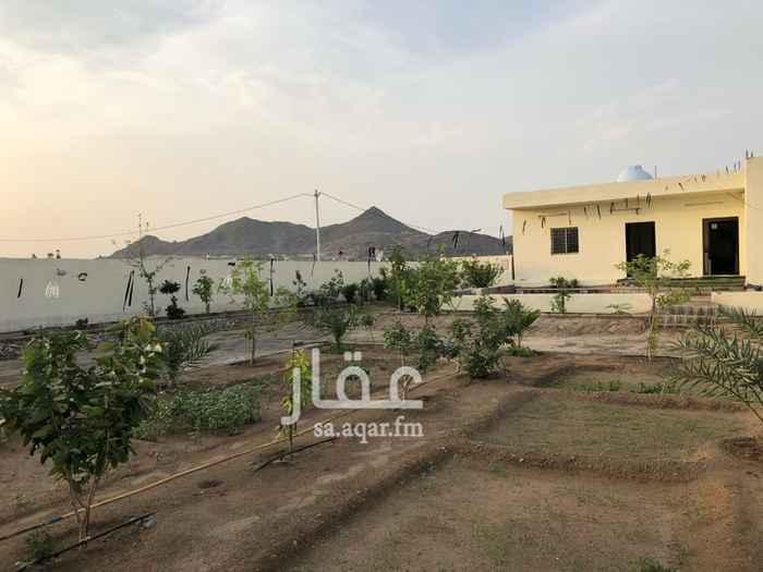 1288542 مبنى مسلح يتكون من ثلاث غرف ومطبخ ودورتي مياه وخزن ارضي يتسع ل 72 طن وحوش مزروع اشجار مثمرة وورقيات يوجد عداد كهرباء ١٠٠ امبير والموقع بوثيقة