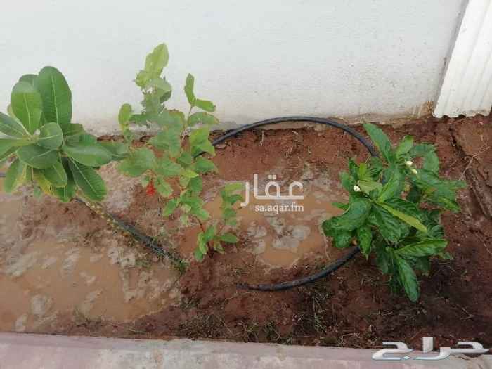 1736038 استراحة بجوهرة العروس 1و رقم القطعة 923 بصك الكتروني بها ماطور كهرباء بحالة تشغيلية ممتازة تتكون من غرفتين كبيرتين كل غرفة 8 *4 و2 حمام وخزان يسع وايت سكس 19طن وبيارة وكشافات الاضاءة ودينمو شفط وضغط وجلسة جاهزة للسكن. للمعاينة والمفاهمة مع ابو سليمان جوال رقم
053 856 7906