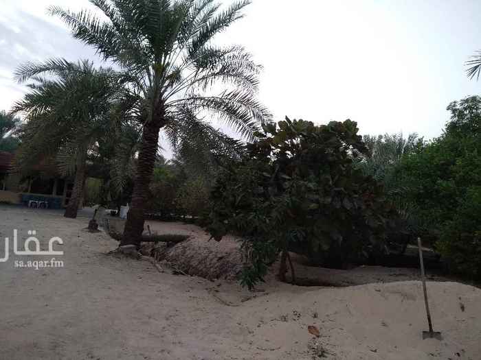 1420002 نخل داخل المنطقة السكنية على شارع الصرف الزراعي بالقرب من مجمع STC ويبعد عن شارع الجش الاسكان حوالي ٢٠٠ متر ومحاط بالمباني السكنيه .
وجود ماء وكهرباء ومجلس.
يصلح للاستثمار أو استراحه