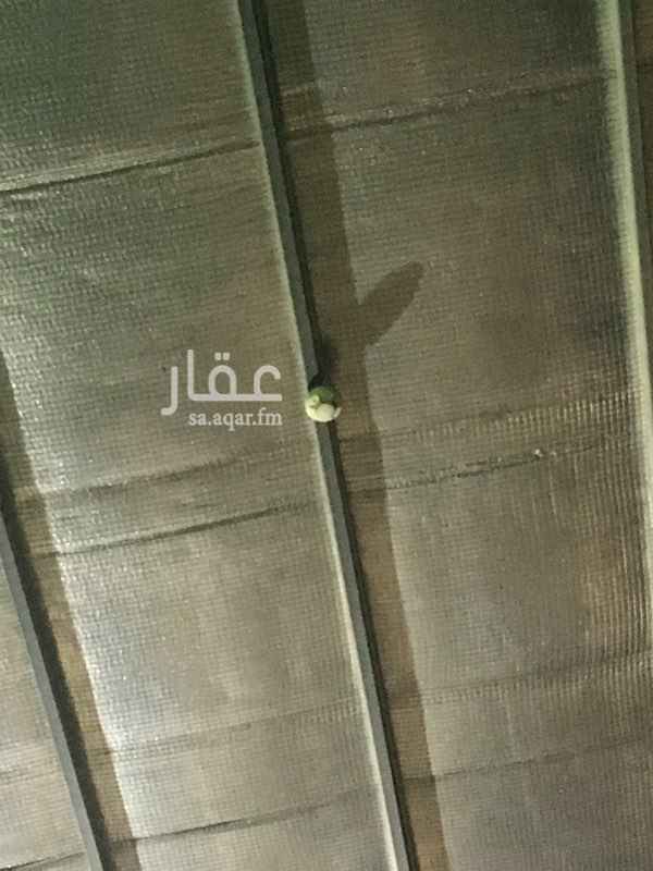 943526 Workshop/Warehouse for rent
يصلح لجميع الانشطه التجارية ،معرض، ورشه. معمل ..الخ. موقعه ممتاز جداً على شارع تجاري40م ، ومجهز بالكامل. يوجد فيه مكتب/غرفه ودورة مياه، وانظمة الانذار ومكافحة الحريق وجميع اشتراطات الدفاع المدني والبلدية الاساسية، وصله جميع الخدمات . موقع العقار نموذجي 100%100.
العرض 25 م
الطول 39 م
الارتفاع 10 م تقريبا.
0505892274
الموقع شارع العميد (المفروشات) حي الفيصلية. التاجير لشركات فقط!