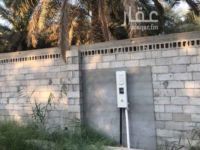 1560418 مزرعه للتنازل رغبه باقي من عقد الاجار 19 سنه و اربعة اشهر.
اجار سنوي 15000 ريال للمالك.
قيمة الرغبه 65000 ريال
يوجد فيه 50 نخله خلاص
يوجد فيه 10 نخيل متنوعه.