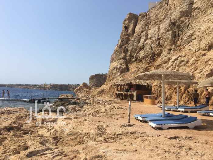 1581465 للايجار شقه عوايل بحي الجلويه بالدمام قريبه من مسجد فيصل بن تزكي تتكون الشقه من اربع غرف نوم ومجلس وغرفه طعام وصاله ومطبخ وثلاث دورات مياه الشقه في الدور الثالث بدون مصعد الايجار كل سته اشهر للتواصل ابوسيف 0506051119