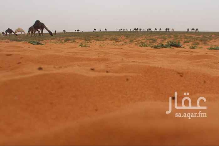 1014993 ارض مساحه ١٨٠٠٠م
للايجار
شارع ٦٠م
ج/٠٥٠٦٠٨٠٩٢١