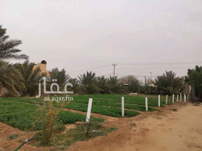 1364287 استراحه للبيع بصك شرعي على شارع ٣٠ وشارع ١٢
قسمين فيها بير و٤٥ نخله اغلبها سكري ومسطحات خضرا وحضائر دواجن وغنم
للتواصل ٠٥٥٨٦٤٥٧٠٠