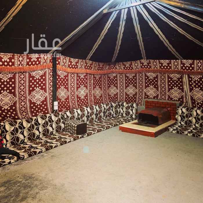 1325748 مخيم الاصيل قسمين كبير ومطل ع نفود خاص ومتكامل
400وسط الاسبوع
نهاية الاسبوع1200