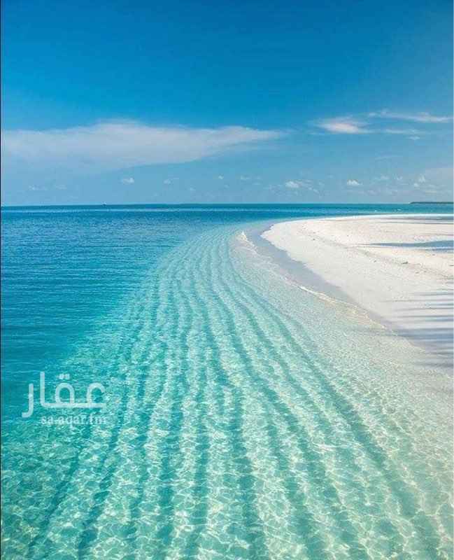 1754059 شقه عباره عن غرفة نوم وصاله ومطبخ وحمام بلكونه بلغرفه الشقه كبيره والمكيفات اسبلت راكبه
دفعه وحده ١٥٠٠٠
دفعتين ١٨٠٠٠