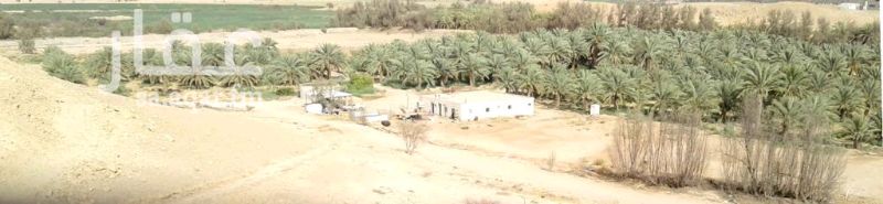 1134723 المزرعه بصكين منفصلين
الاولى/٥٣.٤٧ دونم
الثاني/٥٤.٦٧ دونم
بها خمس برك وسكن عمال
٣ من الابار ٢ بوصه
١ من الابار ٥ بوصه تعمل على الطاقه الشمسيه