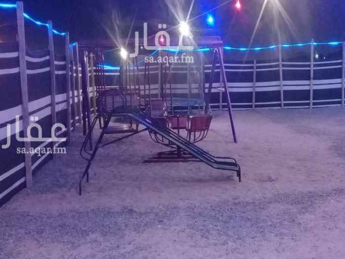 1267635 المخيم قسمين شباب وعوائل
