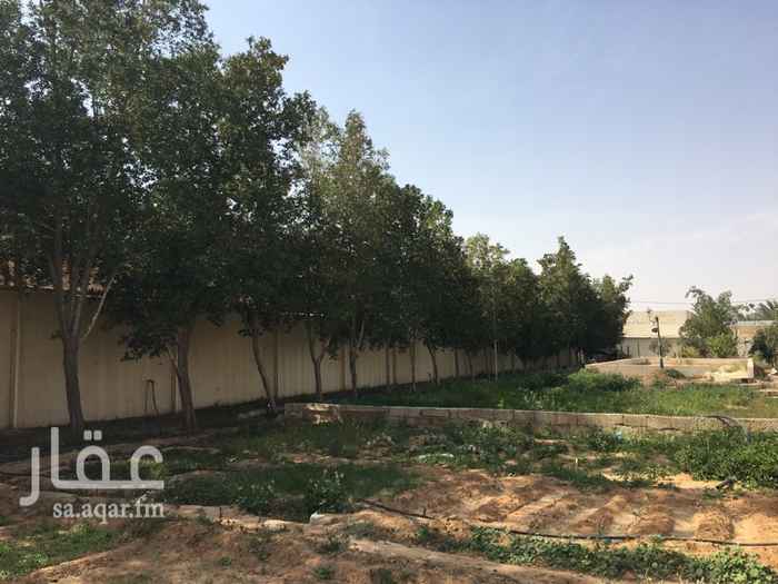 1417934 مزرعة بنخيل واشجار وموية وافرة
في العمارية
يوجد مساحات متنوعة
للايجار عقد ٥ سنوات
للتواصل
٠٥٤٥٢٢٩٦٤٧
