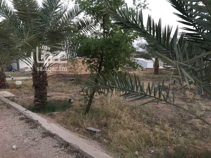 1581665 مزارع صغيرة
واحواش
واستراحات جاهزة
للتواصل
٠٥٠٦٥٢٢٨٠٣