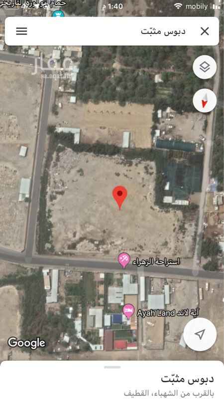 1700181 ارض نخل مساحتها 17670
على السوم
