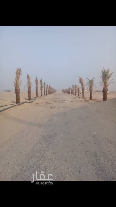 1142726 مزرعة تتمير بالموقع و بالجيران واصحاب المزارع المجاوره
وايضاً تتميز بالارتفاع ونوعية التربه
فيها 100 نخله و بير و عدد 2 خزانات و عدد 2 رشاش 7 محاور
شرقاً : شارع عرض 50 بطول 456
غرباً : شارع عرض 30 بطول 456
جنوب : مزرعة
شمال :،مزرعة
العقار من المالك مباشرة