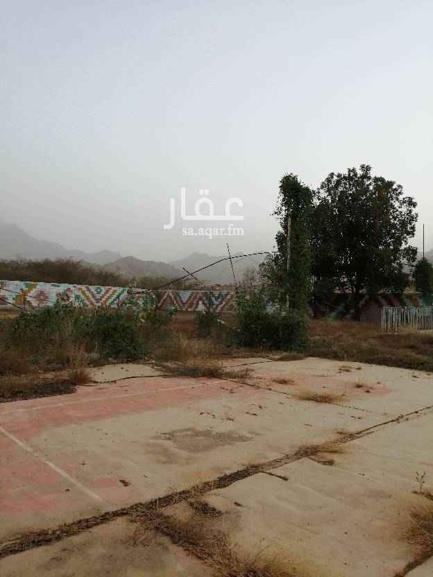1382735 استراحه للبيع او الايجار رجال المع قرية رقعاء
محوشه مساحه ٢٤٠٠ يوجد بها مجلس ١٢×٥ غير مسلح وباقي الغرف مسلحه جميعا ودورة مياه قسم الرجال ومسبح وملعب كرة قدم وملعب طايره
قسم النساء مجلس ٦×٤ ومطبخ ودورة مياه وحوش مستقل ومدخل مستقل الاستراحه على شارعين شرقي وغربي الاسفلت غير واصل ومقدم على الامانه وقريب ان شاء الله
تبعد عن الشارع الرئيسي مايقارب ٩٠٠ متر وتبعد عن اسفلت القريه ١٠٠ متر
المطلوب ٢٥٠ الف الارض ضمن صك شامل وامتلكها باوراق مبايعه
جوال ٠٥٠٧٠٤٨٥٣٤ ابوانس الاستراحه يبغى لها صيانه