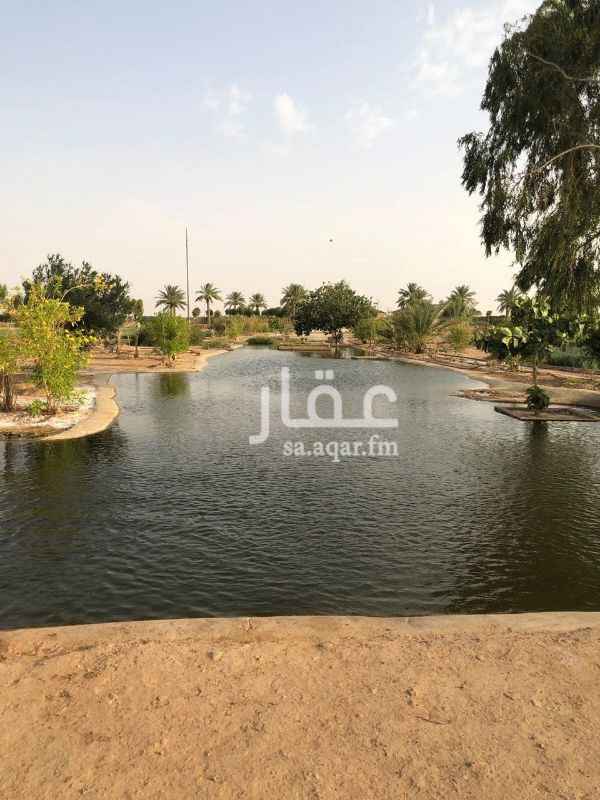 1118622 مزرعه في الجله 24الف متر
طول 200م وعرض 120م
شارعين 15 م شرقي غربي
مجلس 6% 10 وغرفتين 5% 5
ومطبخ 5%5 ومغاسل وغرفه حارس 5%5
بئر ارتوز 2 بوصه عمق 185م وخزان دائري 7% 7 وارتفاع 3م
جلسه عريس 7% 5
عدد 150نخله خلاص 100مثمره
منها 15 نخله مثمره 5م
مسطحات خضراء
بحيره طويله بها أسماك
نفورتين كبيره وصغيره
أشراب برسيم
اشجار مثمره وزينه متنوعه
ثلاث اقفاص كبيره لطيور
حظيرتين أغنام محطه بشبك وحجر تجميلي
تبعد عن نقطه تفتيش الرياض 78كيلو
تبعد عن طريق الحجاز السريع 5كيلو
يوجد بنفس المخطط مركز حكومي