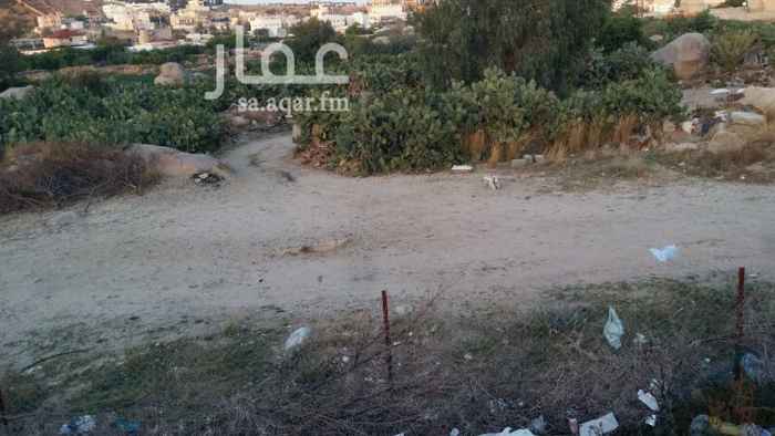973186 موقع متميز على طريق الهدا الدائري