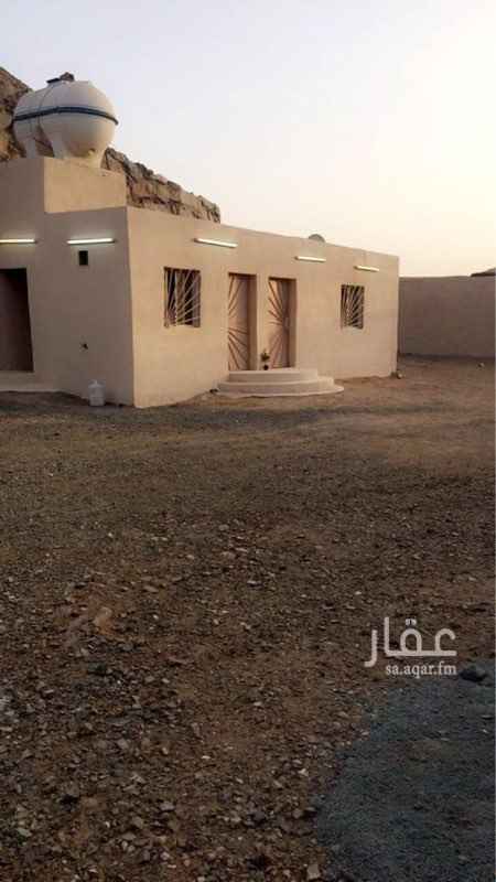 1594884 حوش فيه غرفه كبيره 4/6 وحمام ومطبخ
الارض على شارعين
بعيده عن النطاق العمراني
تصلح مستودع اخشاب ، كنب ، حداده