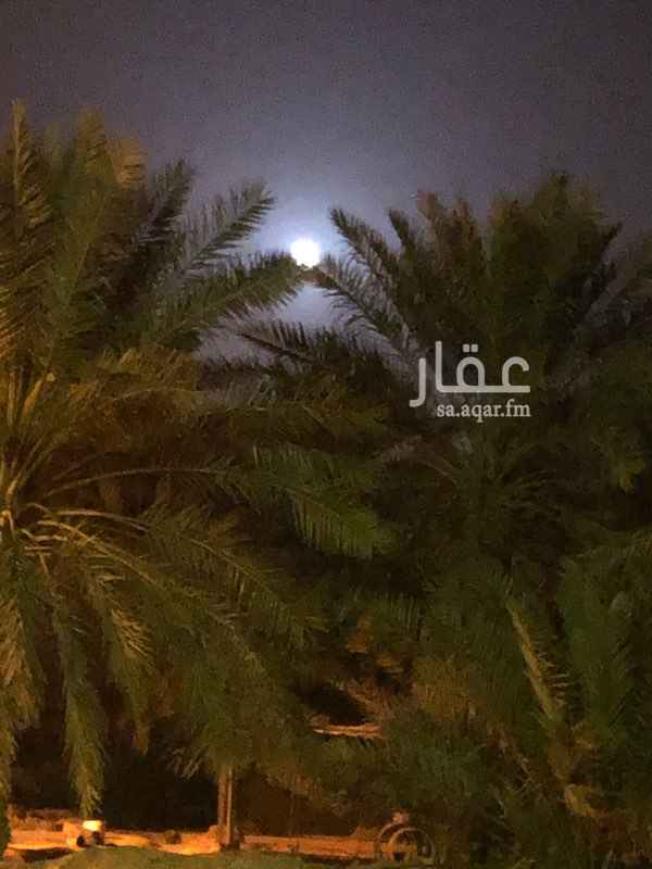 1527246 الموقع العزيزيه الجنوبيه اتجاه الحرم
مكتب للاجار ٤ غرف وصالة و٣ دوراة مياه
الاجار السنوي ٦٠ الف قابل للتفاوض
