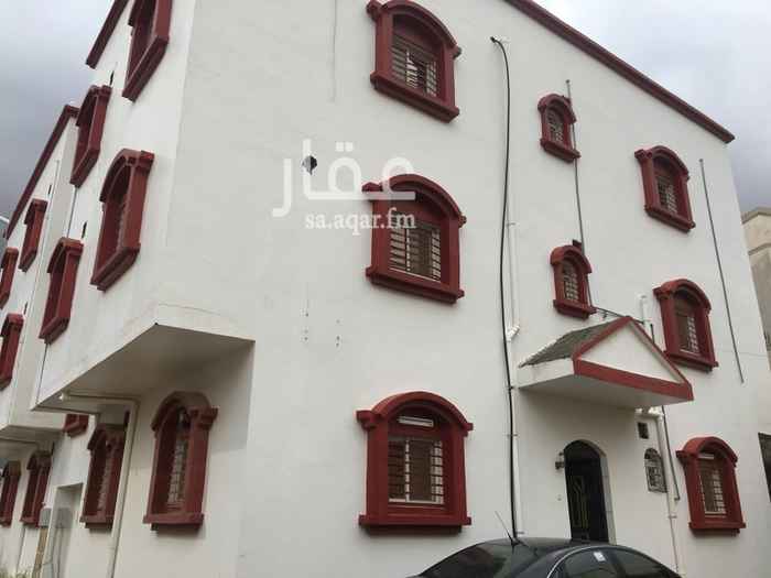 1462451 مجلس
غرفتين وصاله
مطبخ
دورتين مياة وانتم بكرامه
مدخلين للشقه سراميك لشقه كامله عداد لكل شقه منفرد