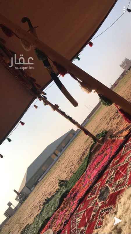 1680544 للبيع مخيم
خيمة كبيرة ٣٠*١٧ =٥٠٠ متر مع مكيفات عدد ٣ مفروشة بالكامل بالوجار موثث كامل
بيوت شعر ٣ اعمدة عدد ٤
بيوت شعر عمودين عدد ٤
دورات مياة رجال عدد ٣ مبنية بلك
دورات مياة نساء عدد ٢
مطبخ رجال كامل بجميع الكماليات الطبخ من قدور وفرن وثلاجة وجميع متطلبات الولئم الكبيرة
مطبخ نساء
عدد ٢ راوية سكس ماء
الانارات والأسلاك كاملة بالأكباس والاضائة مجهزة بالكامل
شبوك حمام
شبك أبل. كبير جدآ بالحديد مجهز
غرفة حارس وبوابة كبيرة