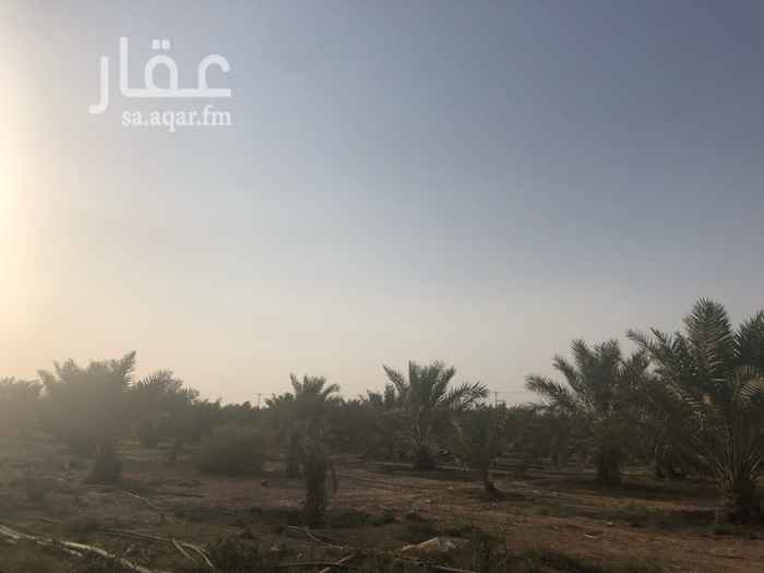 1364748 مزرعة للبيع مساحتها 41500 على شارعين متظاهرات شارع 30 وشارع 20
يوجد بها (٨٠٠)نخلة (خلاص ،صقعي،نبوت سيف،سلطاني،غير)وحمضيات .
( ارتفاع النخل مترين ونصف فما دون ) .
وكذلك يوجد بها كهـــــــرب وابار مياه .
الموقع على طريق الرياض - الخرج بعد نقطة التفتيش وقريبه من الطريق السريع .
السوم ١٦٠ ريال للمتر
والبيع قربب .
المالك/ ابو مازن 0503493330
التواصل مع المالك مباشرة