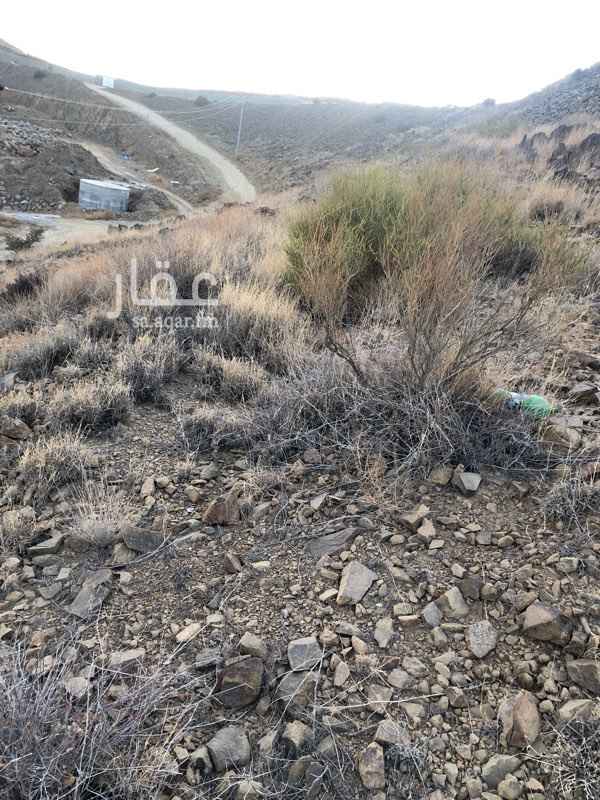 1295539 الارض بعقد مبايعه موثق مطله وبها ميول متوسط تحتاج للقص وعلى شارعين وخدمة الكهرباء واصله للموقع الجاد يتواصل واتس اب