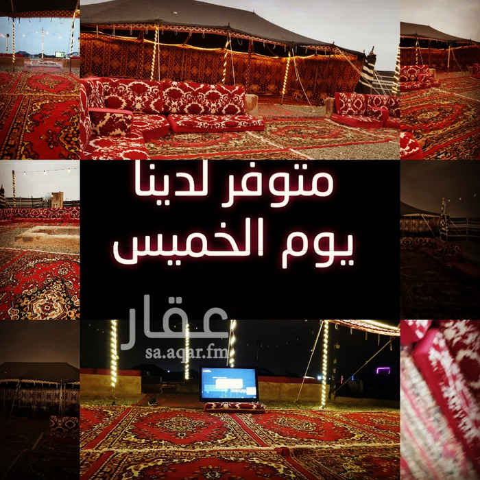 1354890 مخيم نجمة ليالي الشتاء
كل ماتطلبه اجتهدنا لتوفيره
جدة طريق عابر القارات
0509697977
موبايلي
0533809666